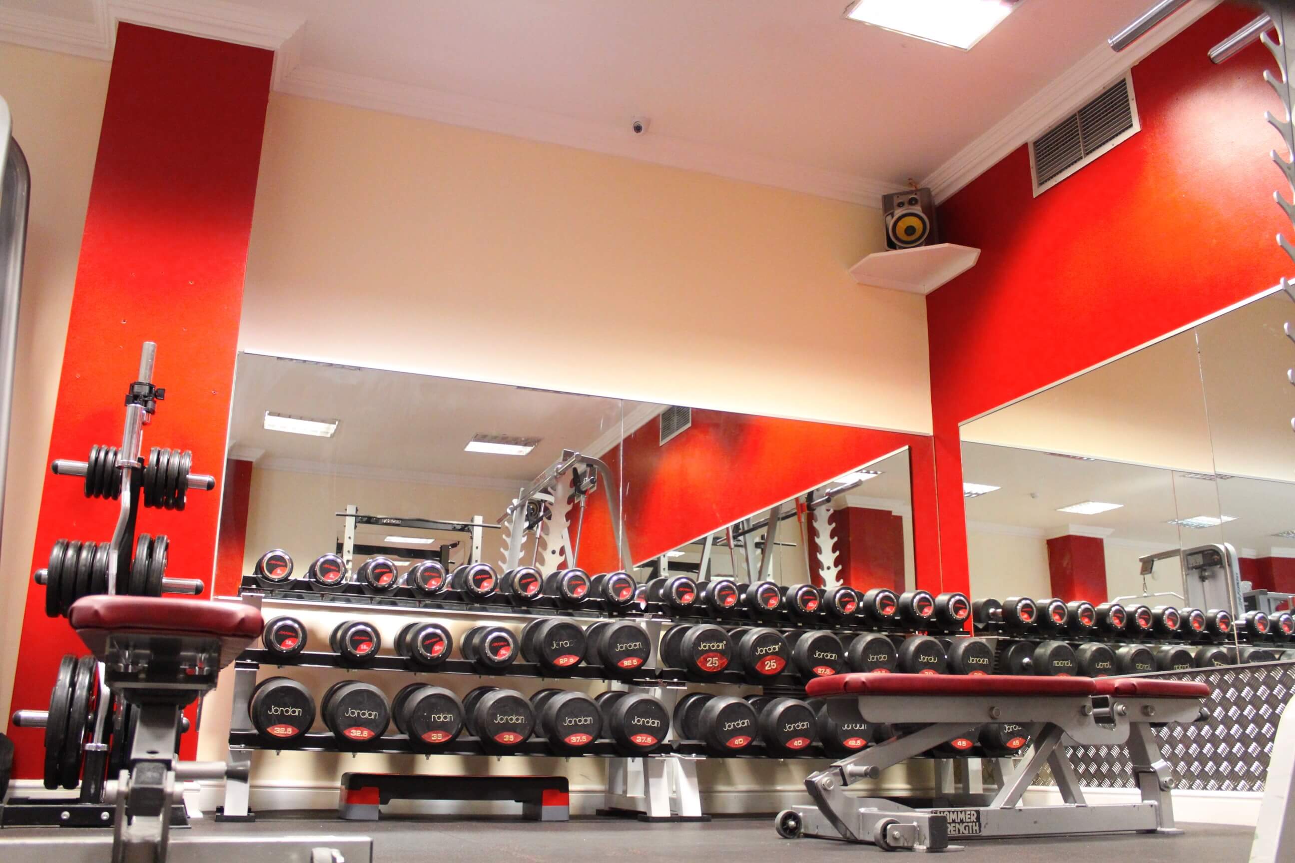 Picture of dumbbells Small set 1-10kg and Large set 2-45kg