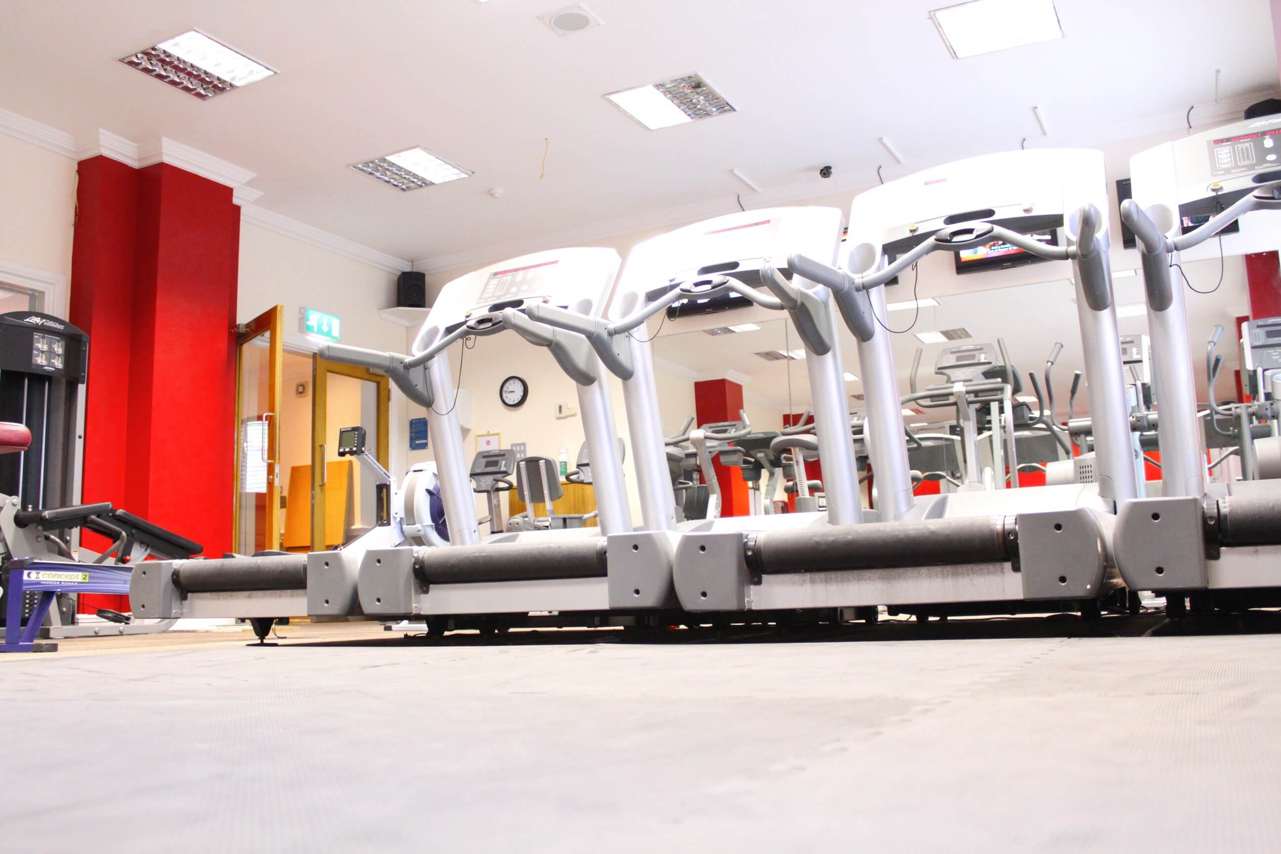 Picture of treadmills and rowers